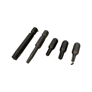 BITS TORX T40 25 MM